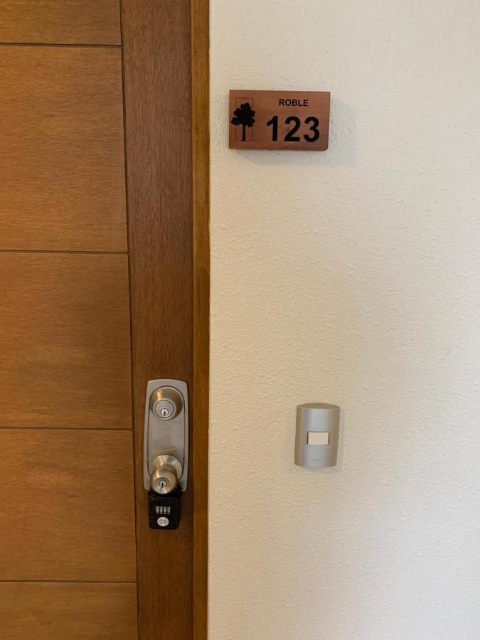 Apartamento Nuevo y muy bien equipado departamento en Pucón Exterior foto
